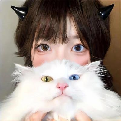 豪赌人生