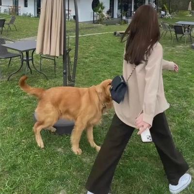 今天的恋爱